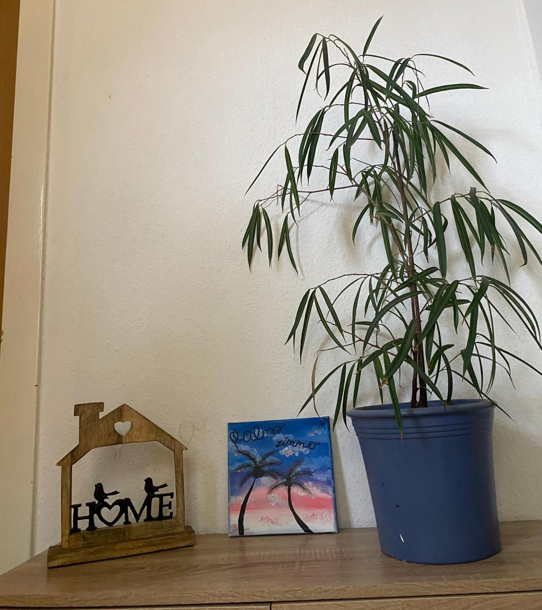 Palms Zimmer Frechen Exterior foto